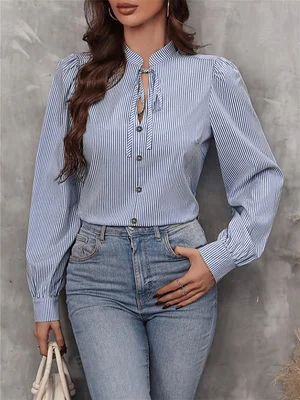 질감 있는 플리츠 블라우스, 여성용, 스탠드 칼라, 넥 - Tie Front Shirt 리뷰 및 가격